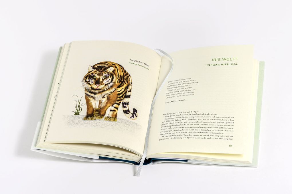 Weitere Ansicht: Wir dachten, wir könnten fliegen