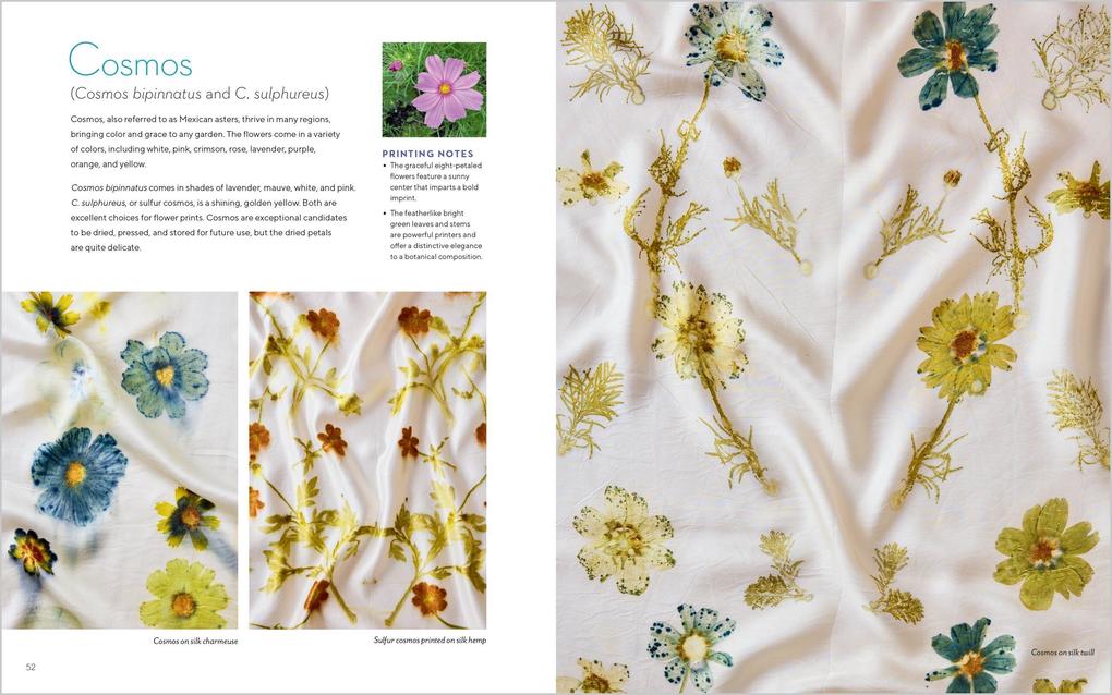 Weitere Ansicht: Printing from the Garden | Alison Kelly