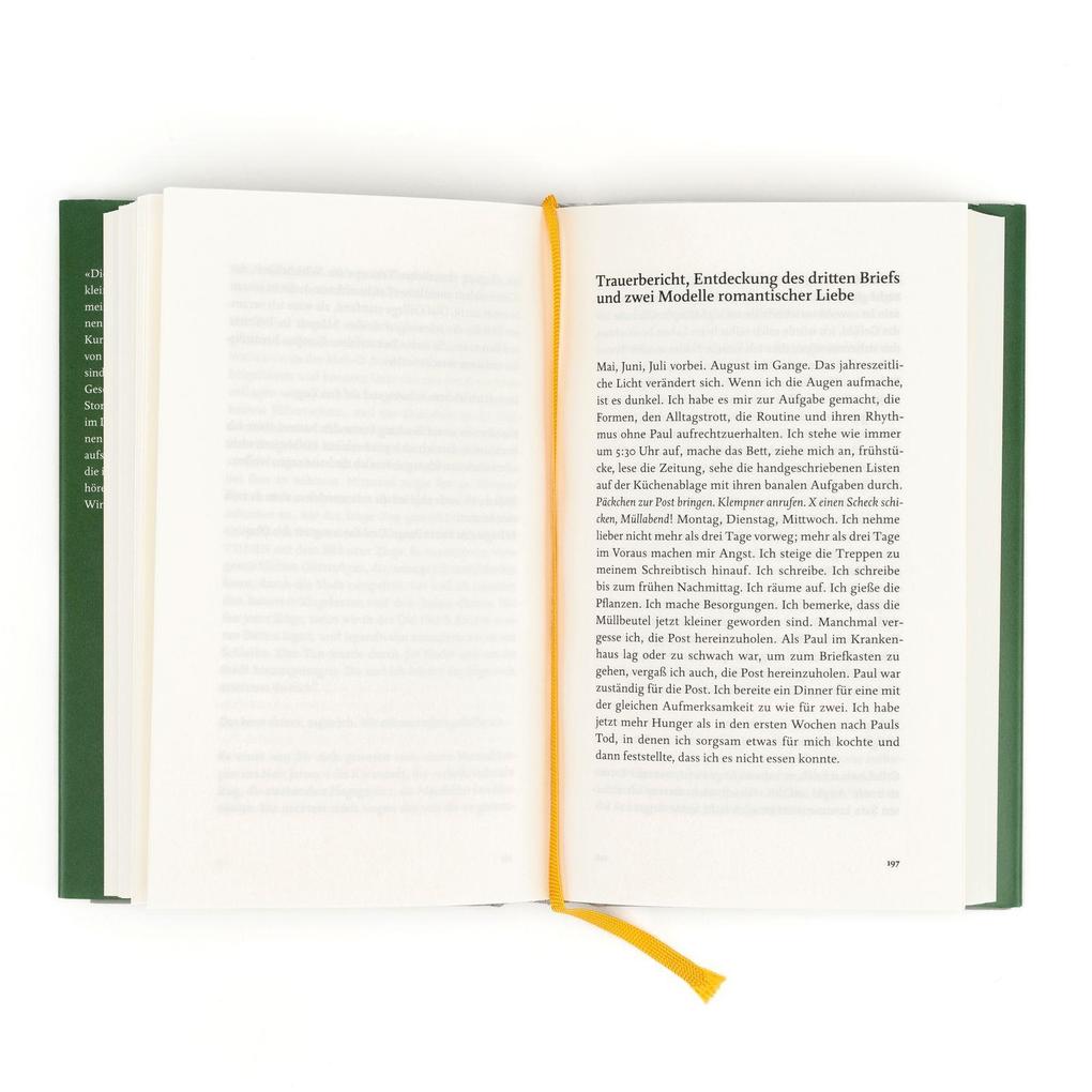 Weitere Ansicht: Ghost Stories | Siri Hustvedt