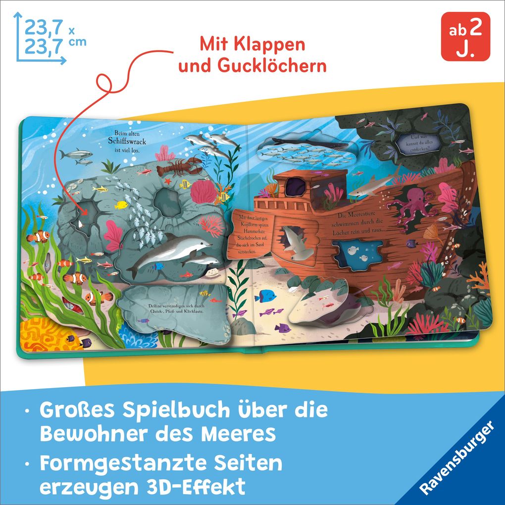 Weitere Ansicht: Auf Entdeckungstour: Im Meer | Laura Garnerburt