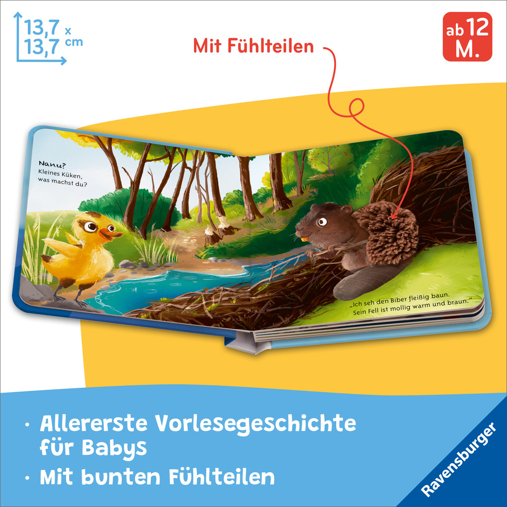 Weitere Ansicht: Mein liebstes Vorlese-Fühlbuch - Das kleine Küken | Maria Höck
