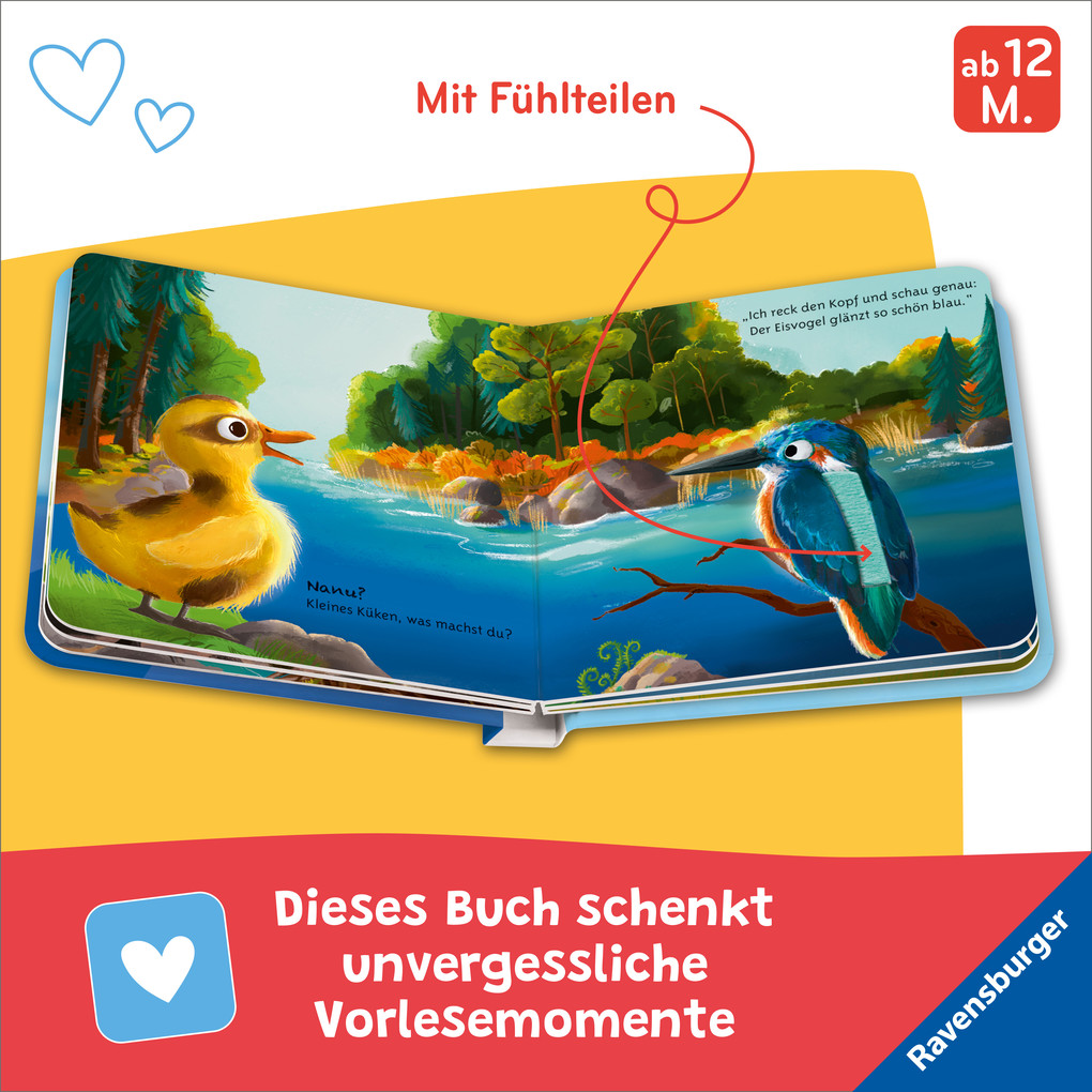 Weitere Ansicht: Mein liebstes Vorlese-Fühlbuch - Das kleine Küken | Maria Höck