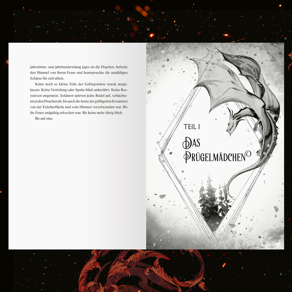 Weitere Ansicht: A Fire in the Sky - Feuerschwur-Chroniken, Band 1 | Sophie Jordan