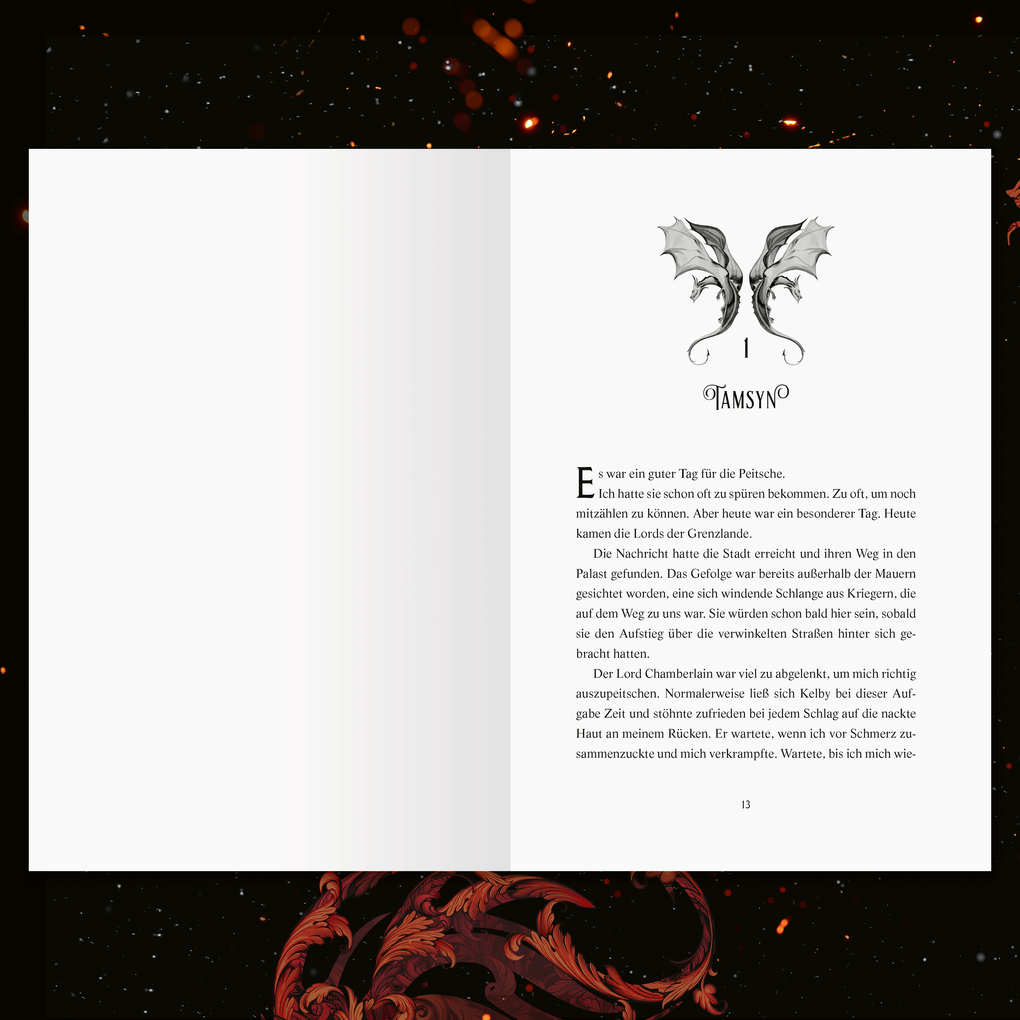 Weitere Ansicht: A Fire in the Sky - Feuerschwur-Chroniken, Band 1 | Sophie Jordan