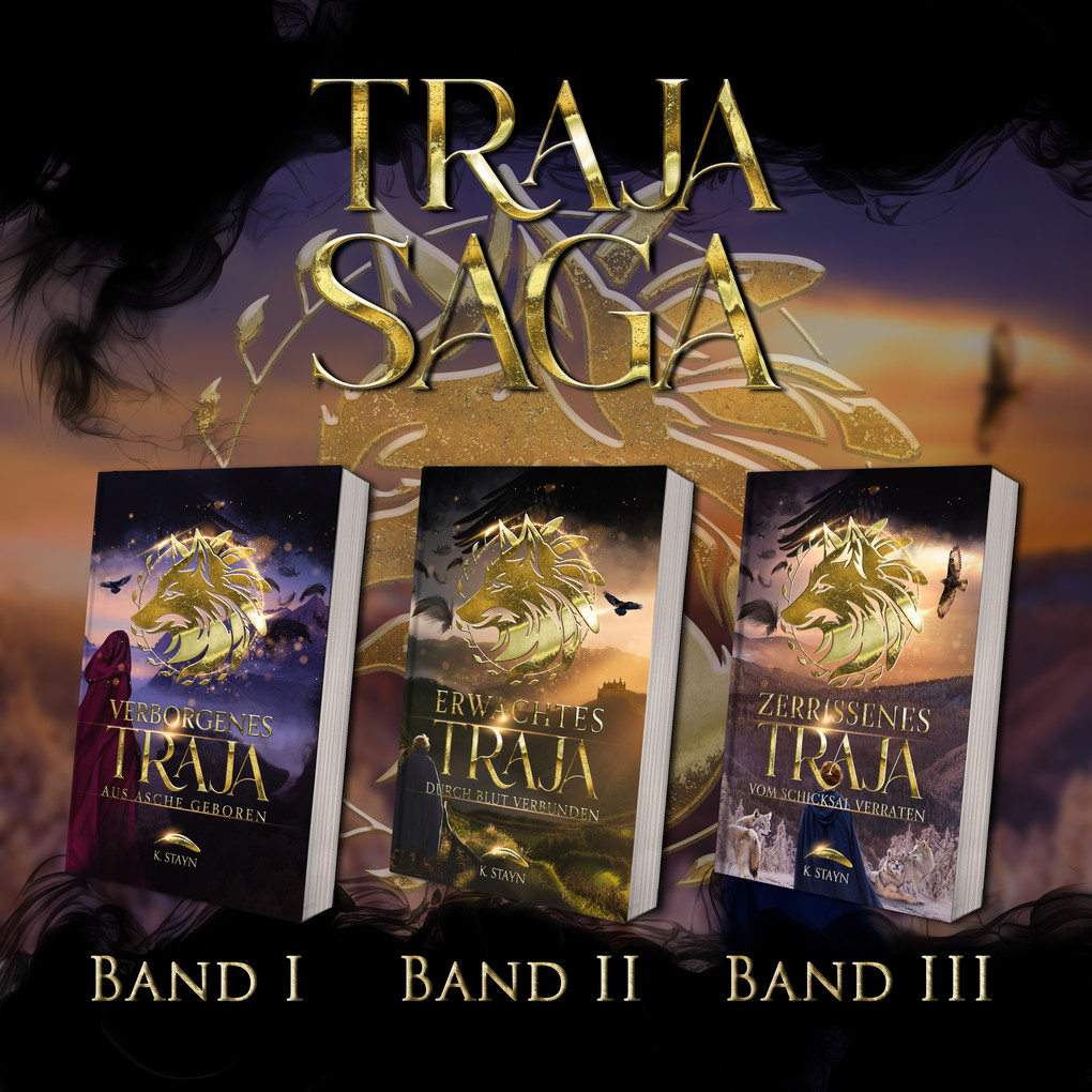 Weitere Ansicht: Zerrissenes Traja | K. Stayn