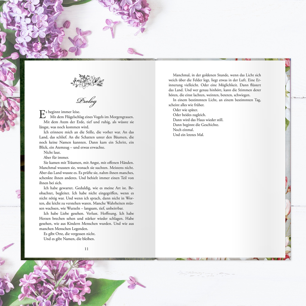 Weitere Ansicht: Morgan's Hall | Eisland | Emilia Flynn