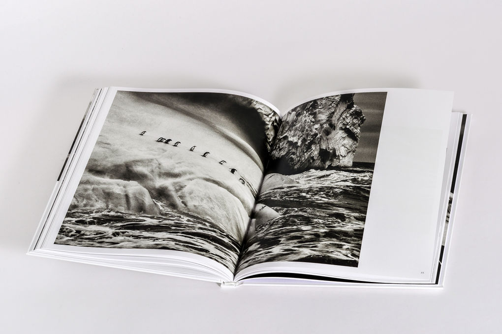 Weitere Ansicht: Sebastião Salgado: Gletscher | Elisa Palazzi