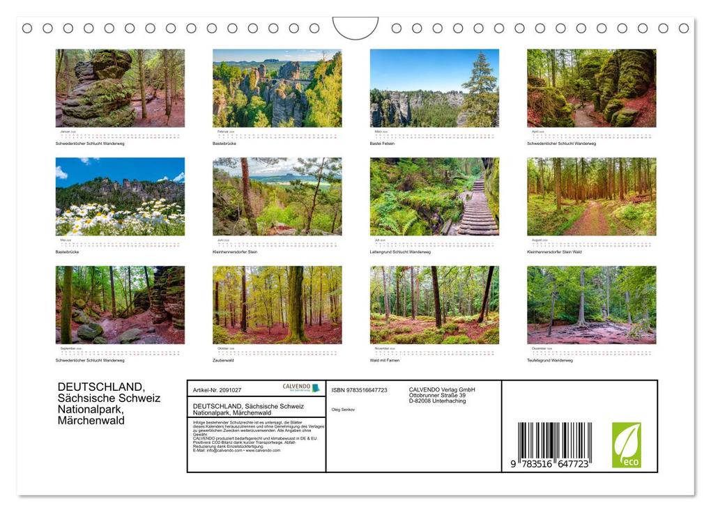 Weitere Ansicht: DEUTSCHLAND, Sächsische Schweiz Nationalpark, Märchenwald (Wandkalender 2026 DIN A4 quer), CALVENDO Monatskalender | Oleg Senkov, Calvendo