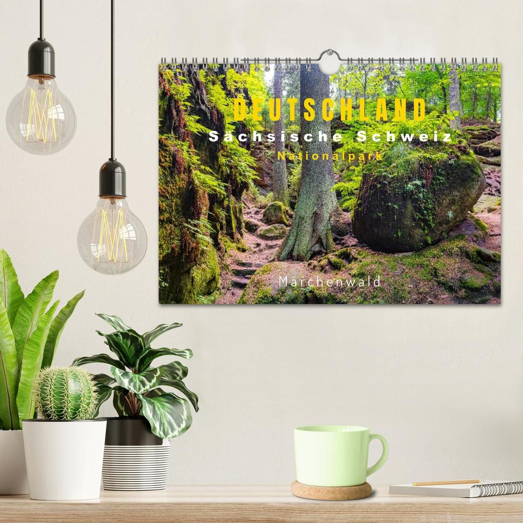Weitere Ansicht: DEUTSCHLAND, Sächsische Schweiz Nationalpark, Märchenwald (Wandkalender 2026 DIN A4 quer), CALVENDO Monatskalender | Oleg Senkov, Calvendo