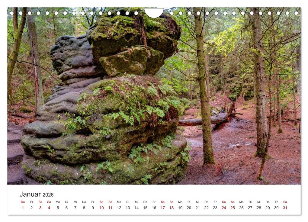Weitere Ansicht: DEUTSCHLAND, Sächsische Schweiz Nationalpark, Märchenwald (Wandkalender 2026 DIN A4 quer), CALVENDO Monatskalender | Oleg Senkov, Calvendo