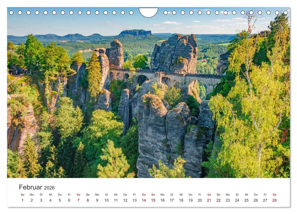 Weitere Ansicht: DEUTSCHLAND, Sächsische Schweiz Nationalpark, Märchenwald (Wandkalender 2026 DIN A4 quer), CALVENDO Monatskalender | Oleg Senkov, Calvendo