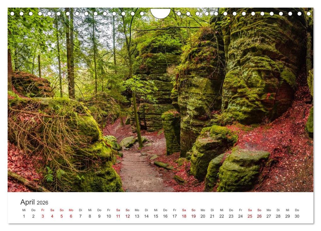 Weitere Ansicht: DEUTSCHLAND, Sächsische Schweiz Nationalpark, Märchenwald (Wandkalender 2026 DIN A4 quer), CALVENDO Monatskalender | Oleg Senkov, Calvendo