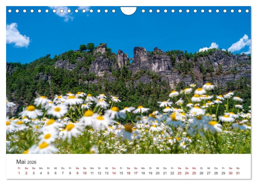 Weitere Ansicht: DEUTSCHLAND, Sächsische Schweiz Nationalpark, Märchenwald (Wandkalender 2026 DIN A4 quer), CALVENDO Monatskalender | Oleg Senkov, Calvendo