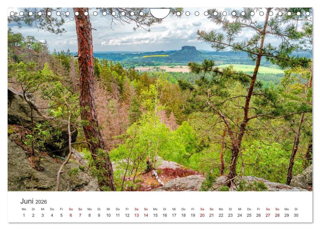 Weitere Ansicht: DEUTSCHLAND, Sächsische Schweiz Nationalpark, Märchenwald (Wandkalender 2026 DIN A4 quer), CALVENDO Monatskalender | Oleg Senkov, Calvendo