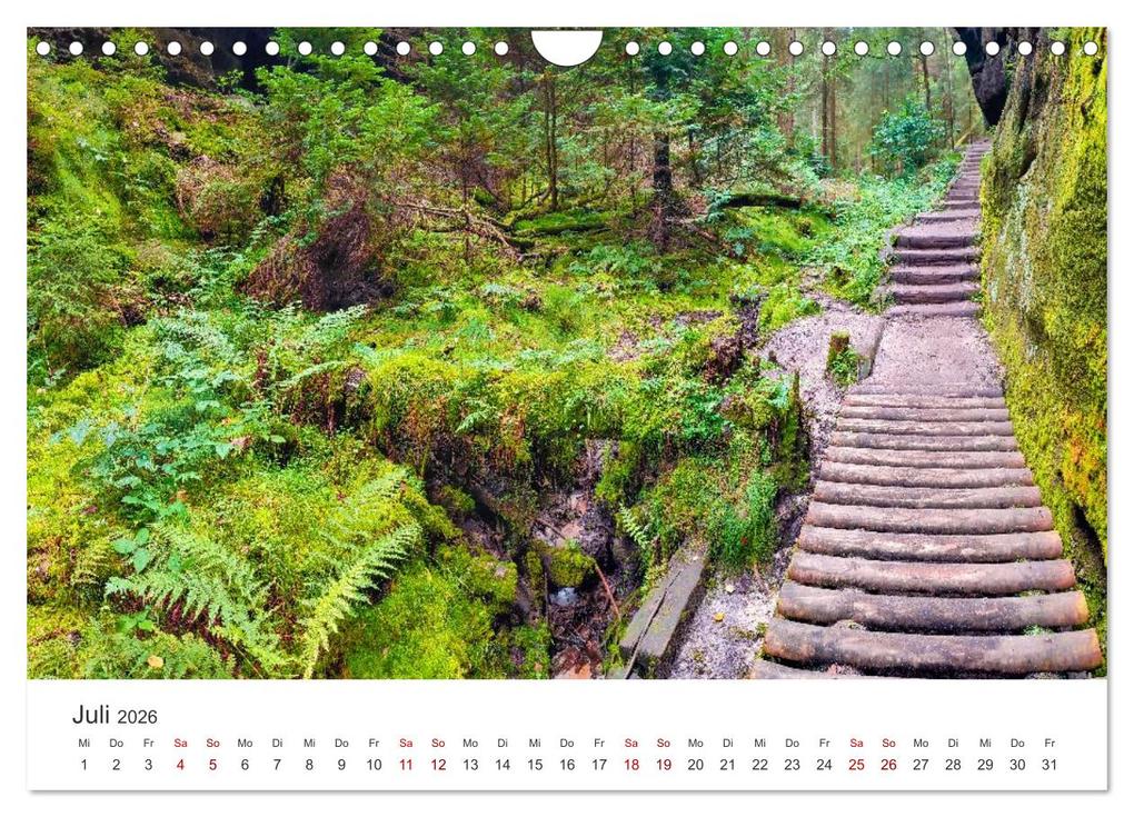 Weitere Ansicht: DEUTSCHLAND, Sächsische Schweiz Nationalpark, Märchenwald (Wandkalender 2026 DIN A4 quer), CALVENDO Monatskalender | Oleg Senkov, Calvendo