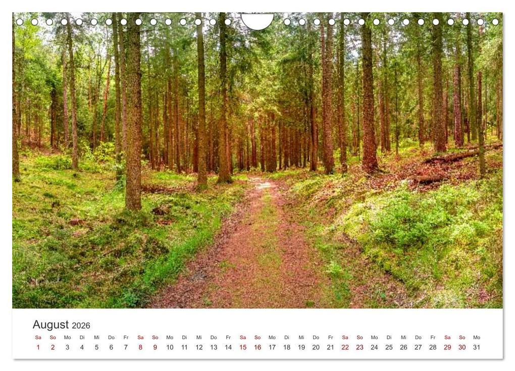 Weitere Ansicht: DEUTSCHLAND, Sächsische Schweiz Nationalpark, Märchenwald (Wandkalender 2026 DIN A4 quer), CALVENDO Monatskalender | Oleg Senkov, Calvendo