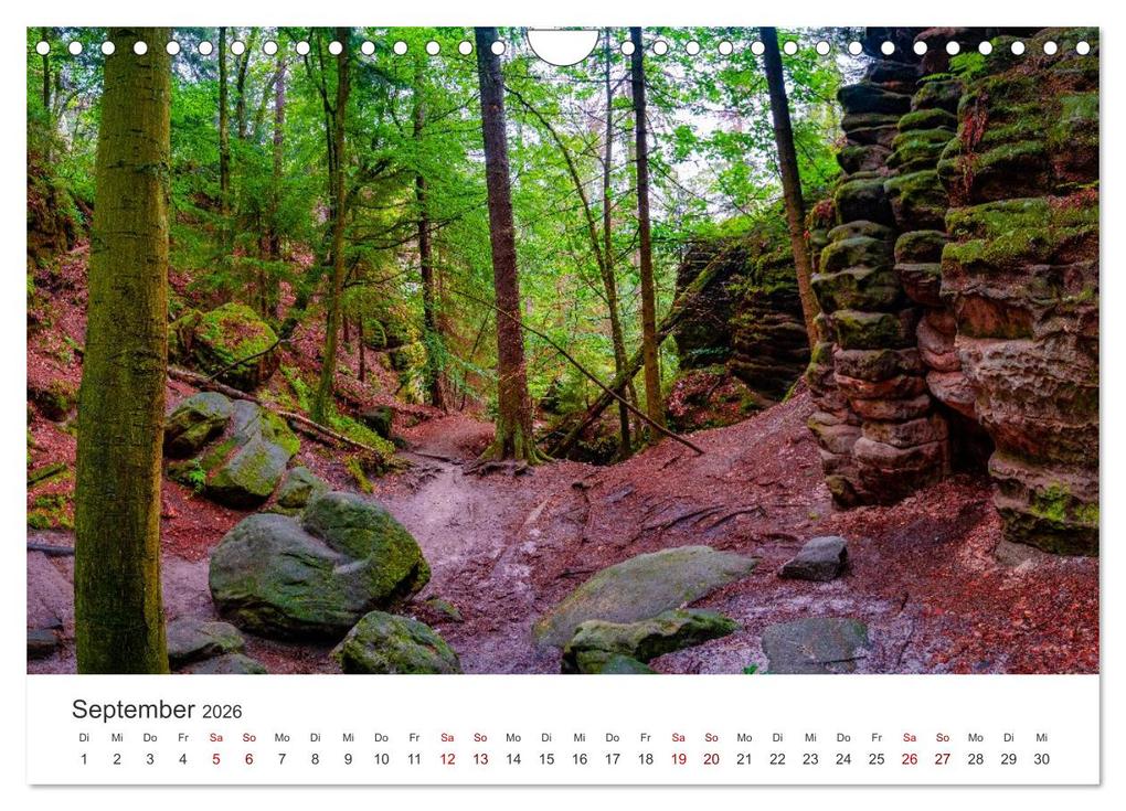 Weitere Ansicht: DEUTSCHLAND, Sächsische Schweiz Nationalpark, Märchenwald (Wandkalender 2026 DIN A4 quer), CALVENDO Monatskalender | Oleg Senkov, Calvendo