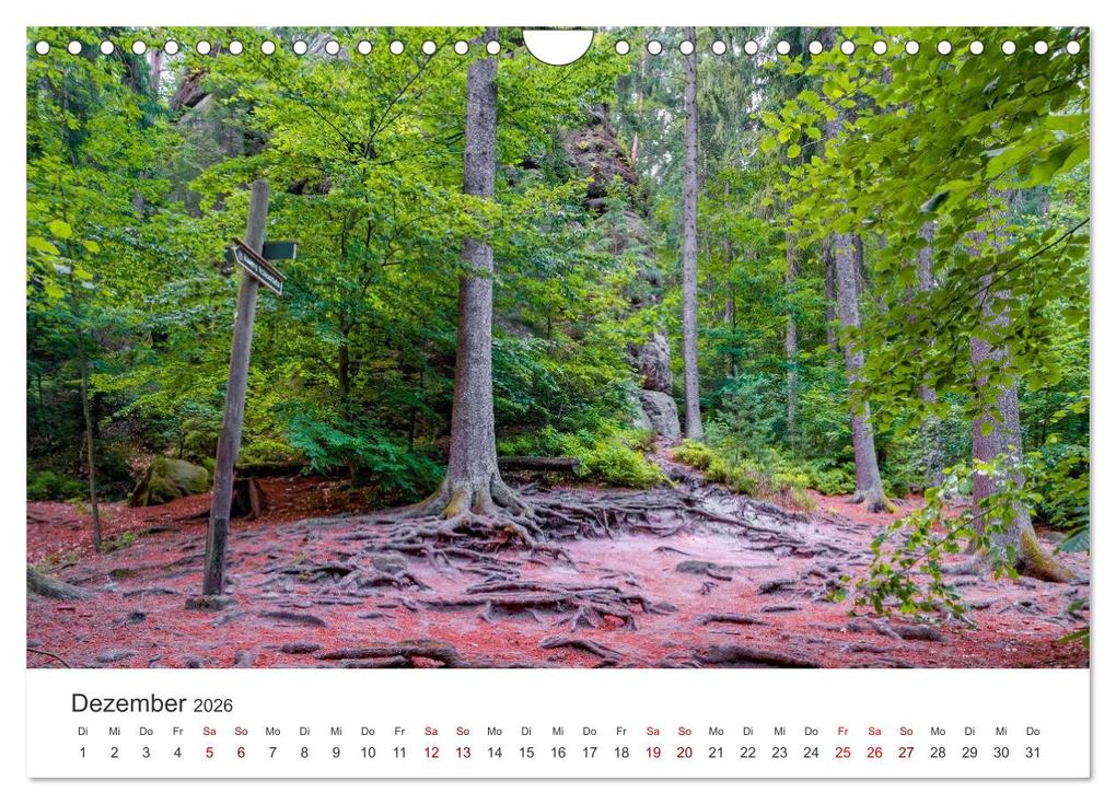 Weitere Ansicht: DEUTSCHLAND, Sächsische Schweiz Nationalpark, Märchenwald (Wandkalender 2026 DIN A4 quer), CALVENDO Monatskalender | Oleg Senkov, Calvendo