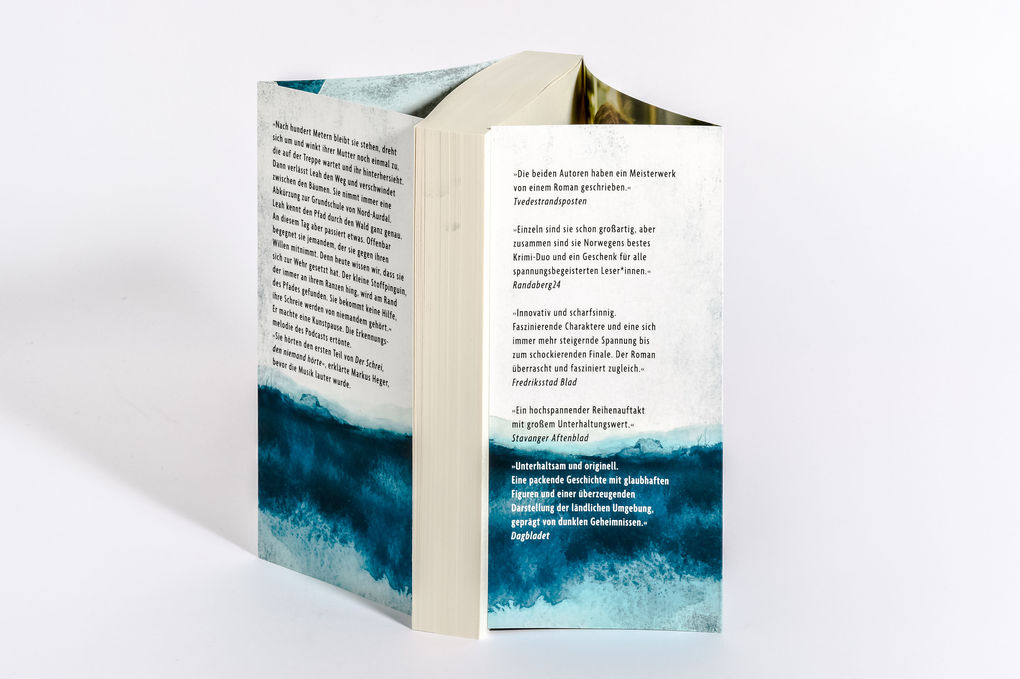 Weitere Ansicht: Hörst du den Schrei? | Jørn Lier Horst, Jan-Erik Fjell