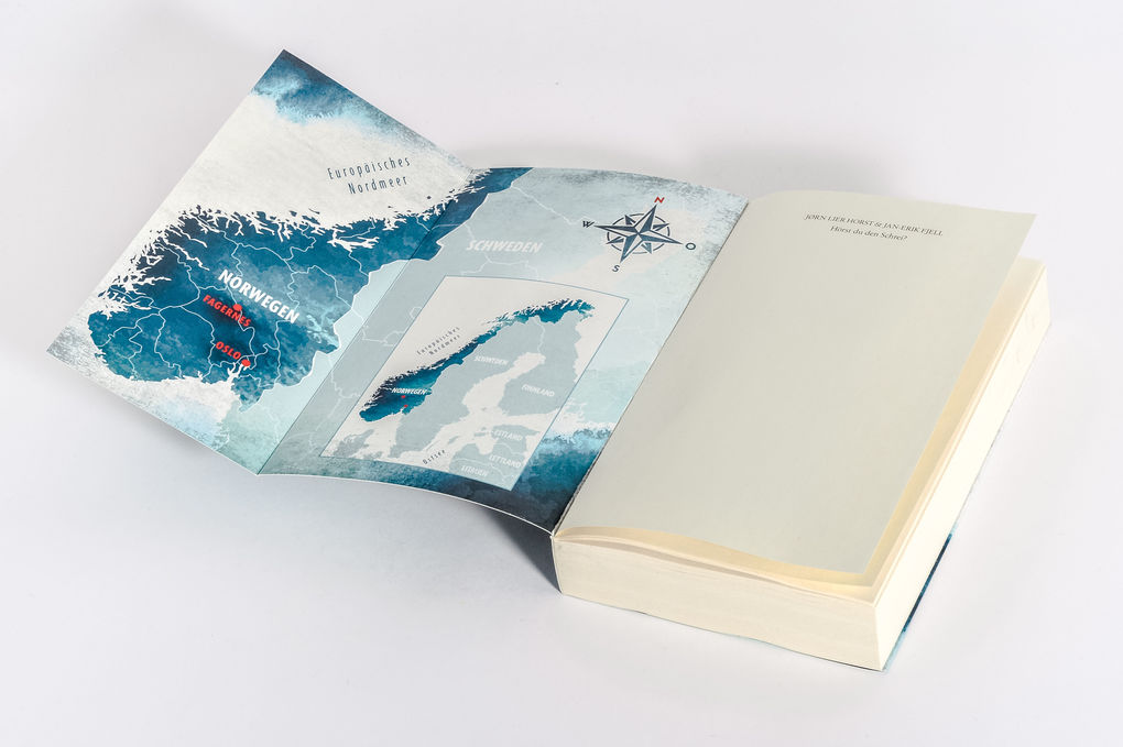 Weitere Ansicht: Hörst du den Schrei? | Jørn Lier Horst, Jan-Erik Fjell