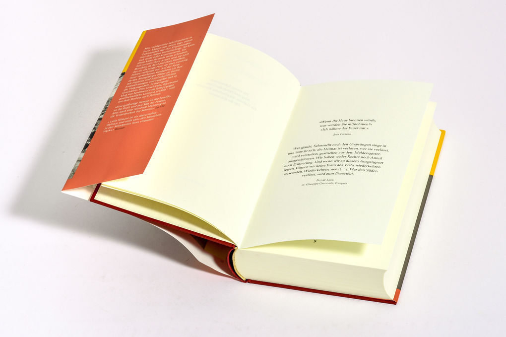 Weitere Ansicht: Trag das Feuer weiter | Leïla Slimani