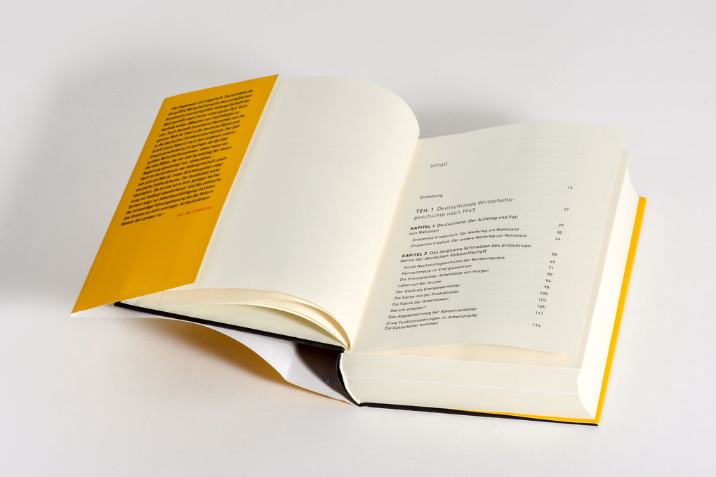 Weitere Ansicht: Systemversagen | Gabor Steingart