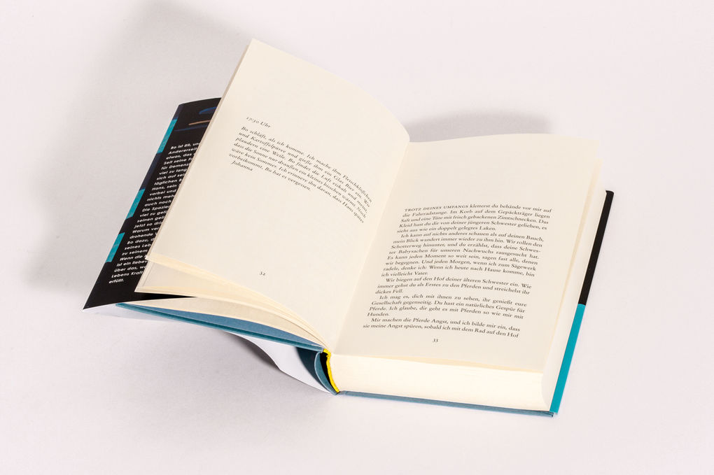 Weitere Ansicht: Wenn die Kraniche nach Süden ziehen | Lisa Ridzén