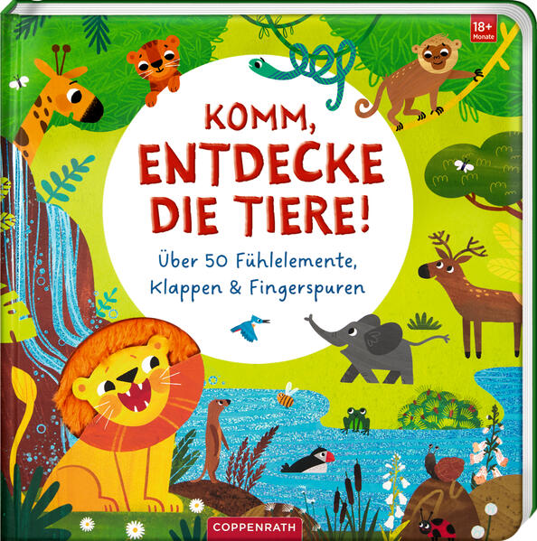 Produktbild: Komm, entdecke die Tiere!