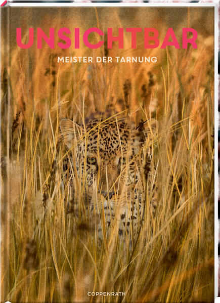 Produktbild: Unsichtbar | Holger Haag