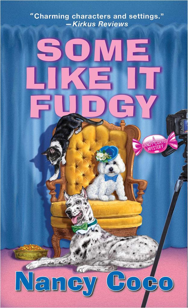 Produktbild: Some Like It Fudgy | Nancy Coco