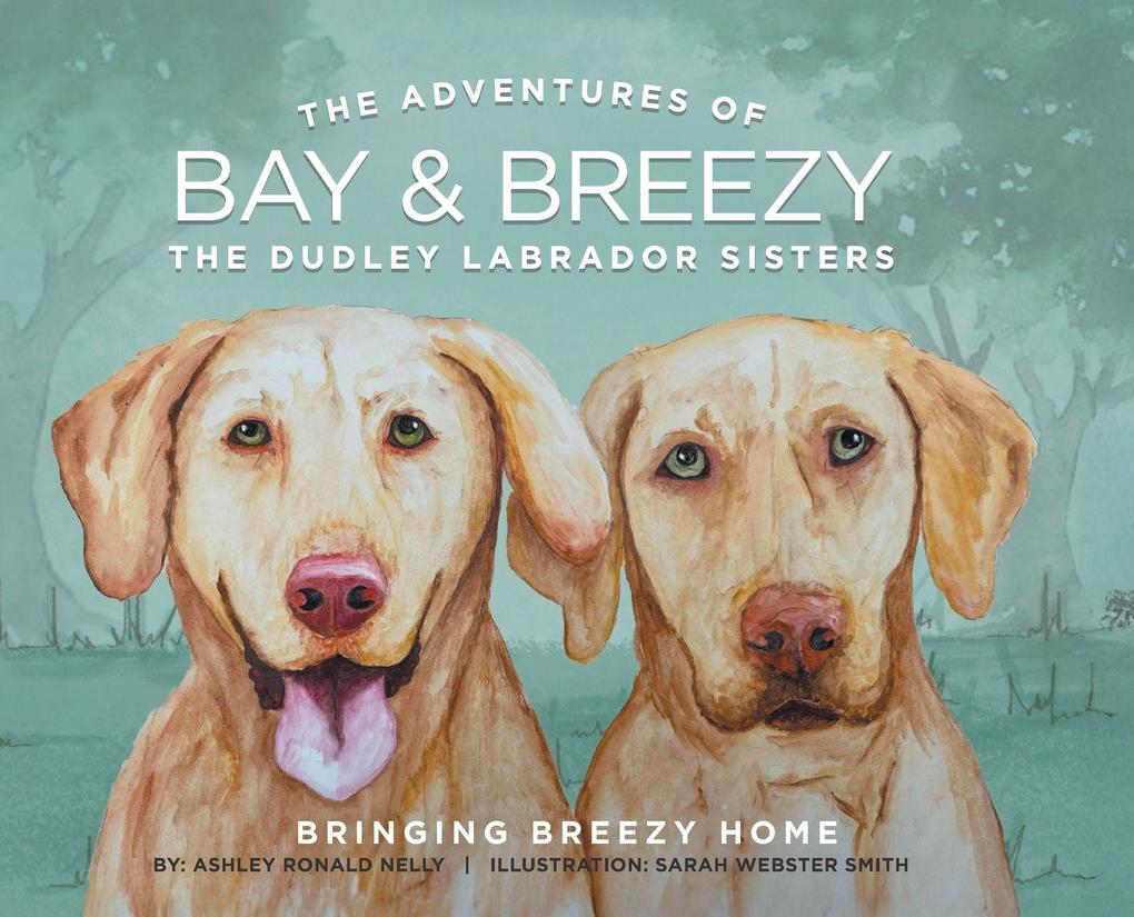 Produktbild: The Adventures of Bay & Breezy | Ashley Ronald Nelly