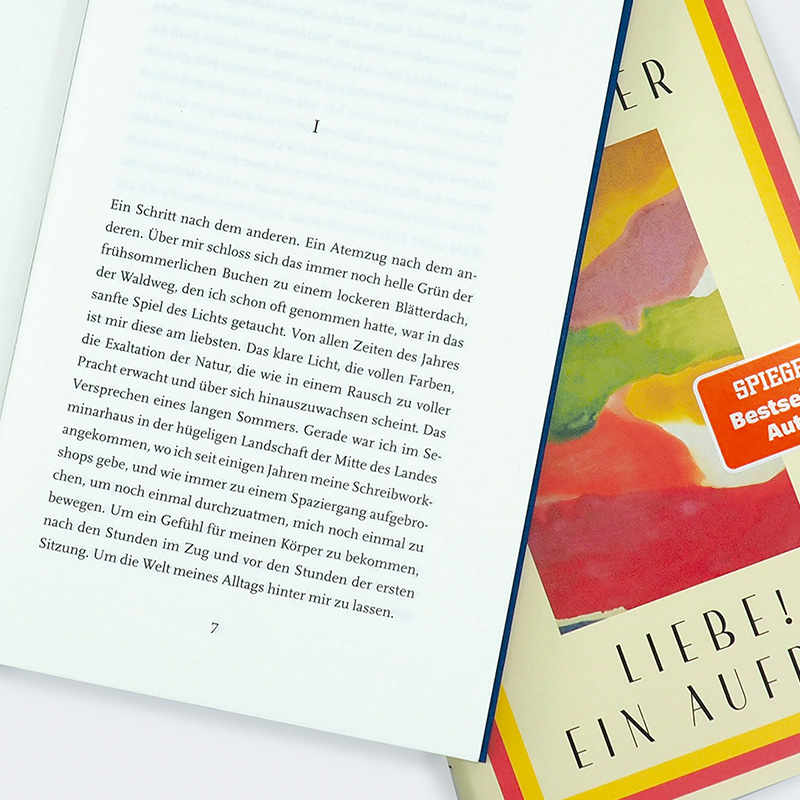 Weitere Ansicht: Liebe! Ein Aufruf | Daniel Schreiber