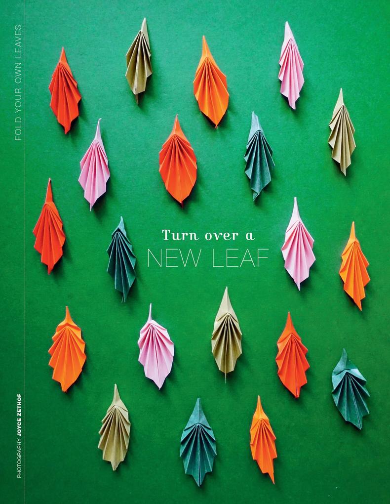 Weitere Ansicht: Paper Book for Nature Lovers | Editors of Flow Magazine