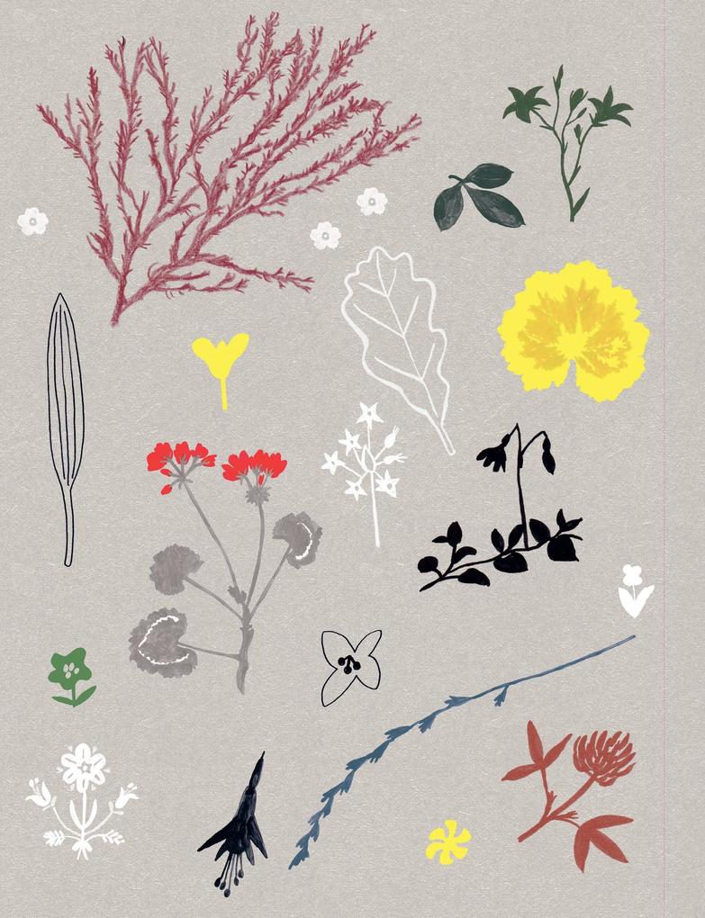 Weitere Ansicht: Paper Book for Nature Lovers | Editors of Flow Magazine