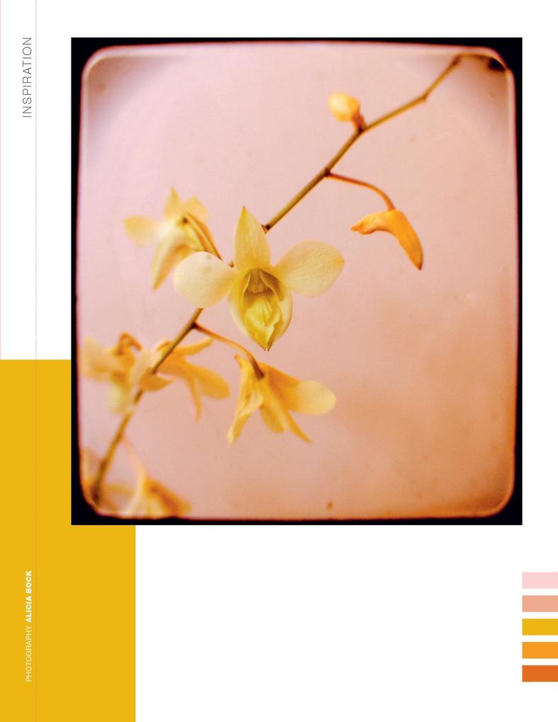 Weitere Ansicht: Paper Book for Nature Lovers | Editors of Flow Magazine