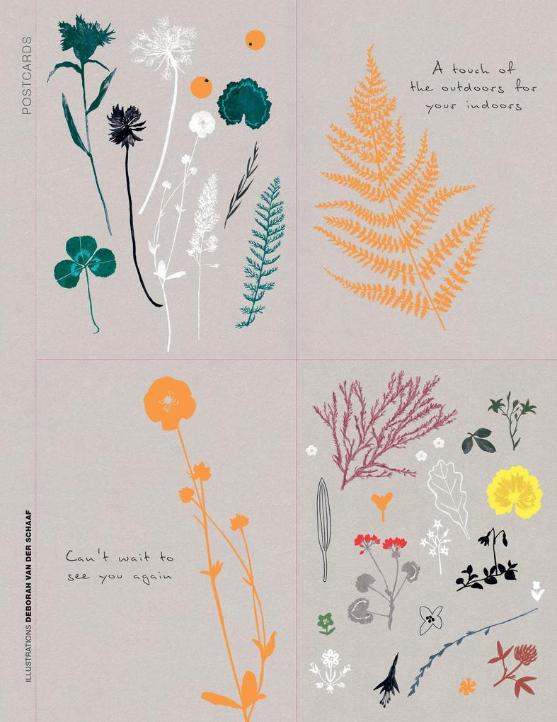 Weitere Ansicht: Paper Book for Nature Lovers | Editors of Flow Magazine