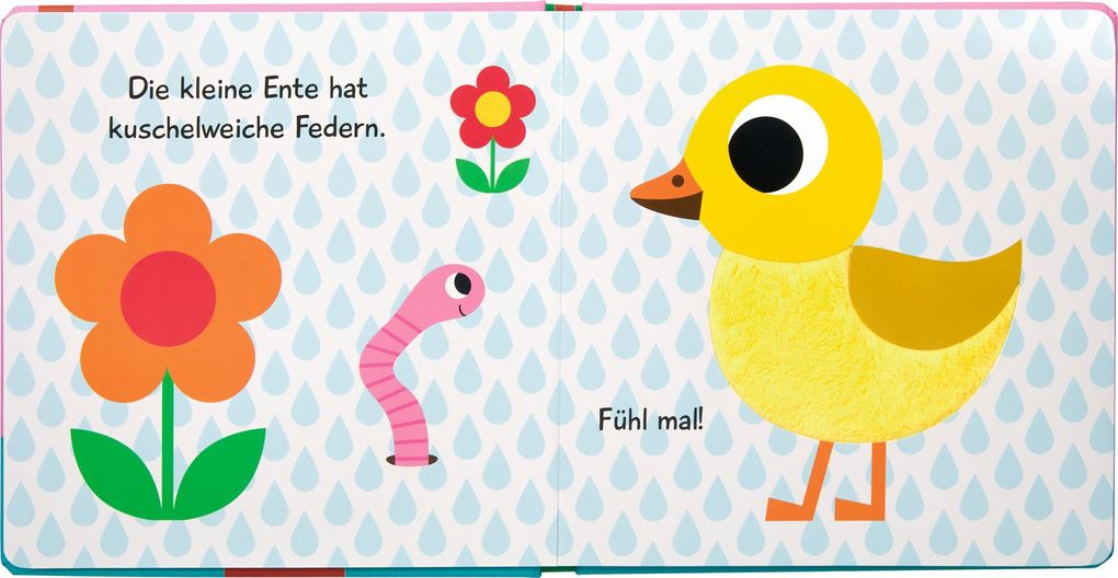 Weitere Ansicht: Mein Fühlbuch: Kleine Ente