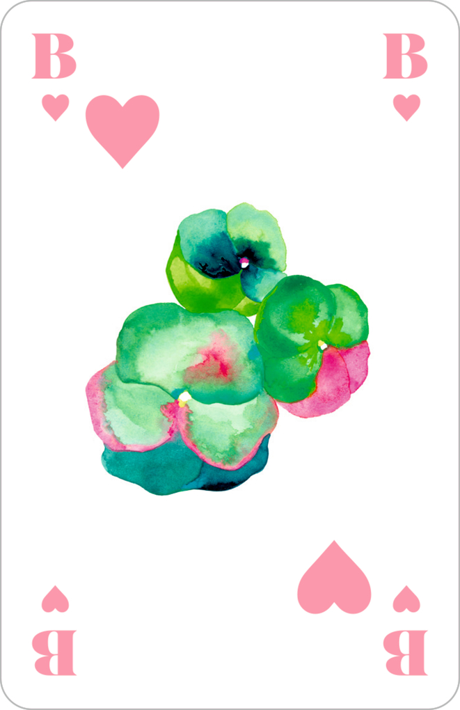 Weitere Ansicht: Schachtelspiel - Die beliebtesten Kartenspiele