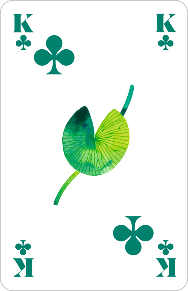 Weitere Ansicht: Schachtelspiel - Die beliebtesten Kartenspiele