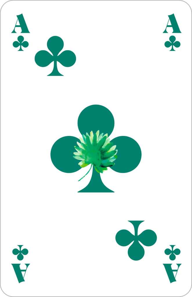 Weitere Ansicht: Schachtelspiel - Die beliebtesten Kartenspiele