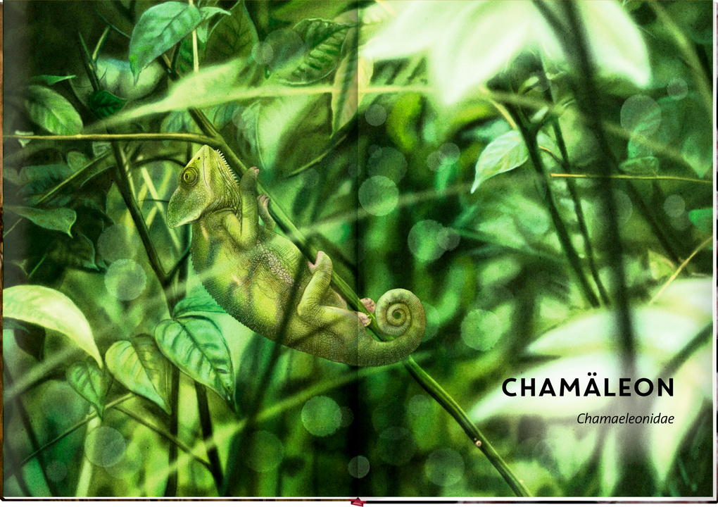 Weitere Ansicht: Unsichtbar | Holger Haag