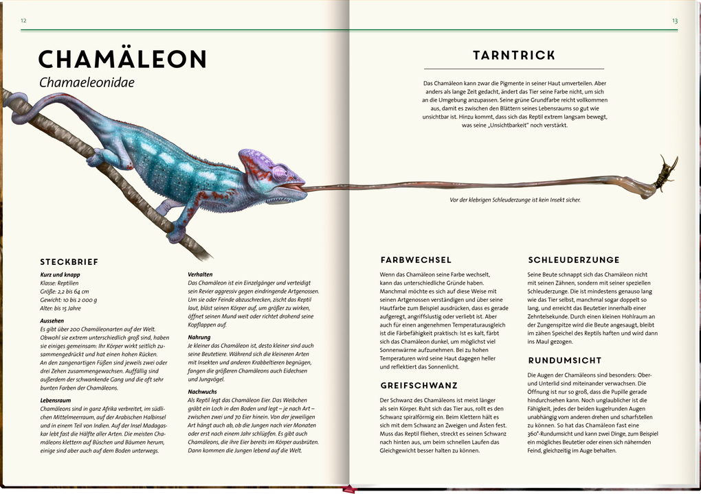 Weitere Ansicht: Unsichtbar | Holger Haag