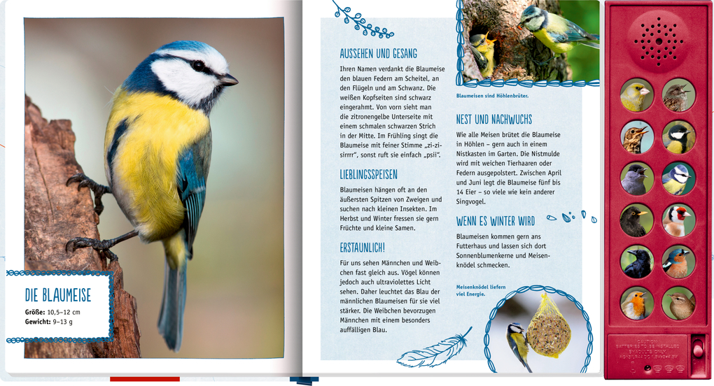 Weitere Ansicht: Vögel in unserem Garten | Holger Haag