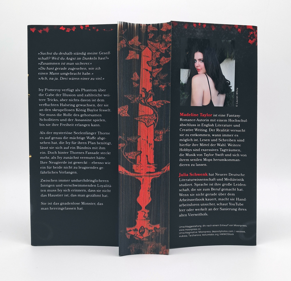 Weitere Ansicht: Heir of Illusion | Madeline Taylor