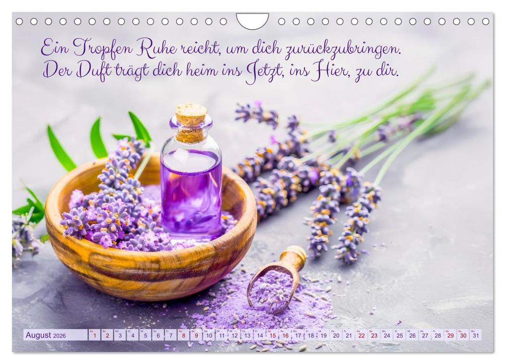 Weitere Ansicht: Im Duft des Lavendels - Mit Achtsamkeit durchs Leben (Wandkalender 2026 DIN A4 quer), CALVENDO Monatskalender | Anja Frost, Calvendo