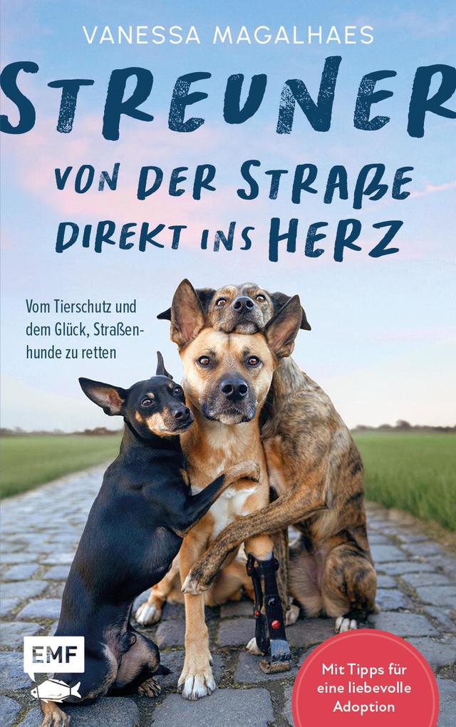 Produktbild: Streuner - von der Straße direkt ins Herz | Vanessa Magalhaes