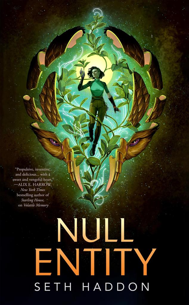 Produktbild: Null Entity | Seth Haddon