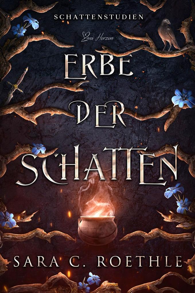 Produktbild: Erbe der Schatten | Sara C. Roethle
