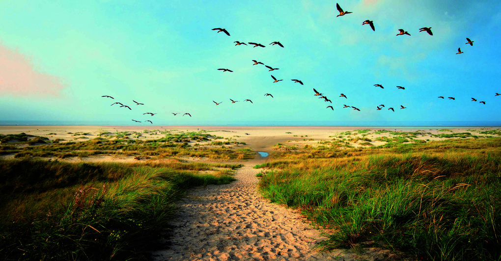 Weitere Ansicht: Fernweh Deutschland | Julia Schattauer