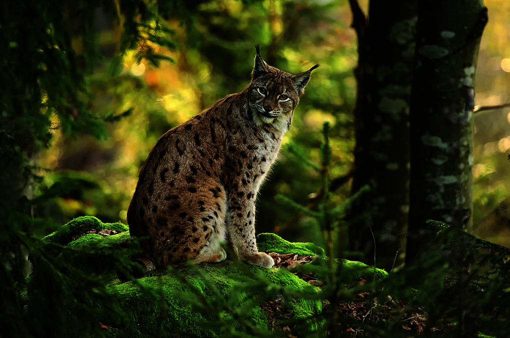 Weitere Ansicht: Fernweh Deutschland | Julia Schattauer